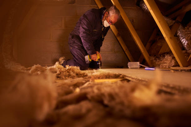 Best Types of Insulation in Livingston, TX